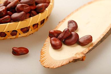 经典风格ARPG《Airoheart》9月30日登陆全平台